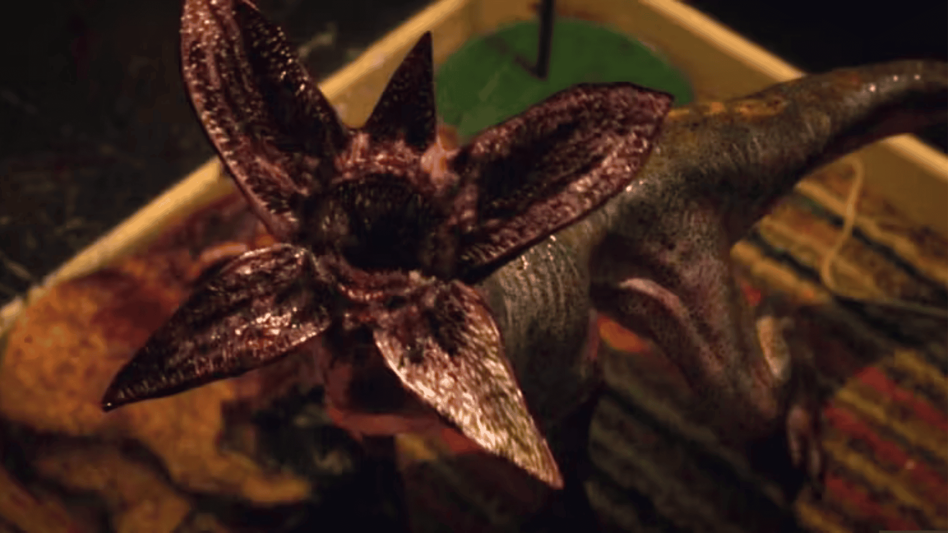 Who Is Mark Steger Who Brought The Stranger Things Demogorgon To Life? - Mark Steger Stranger Things Demogorgon